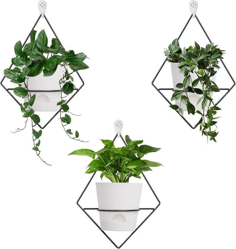Koalaime 3 Sets Wall Planters for Indoor Plants Geometric Hanging Planters for Indoor Plants - Self-Watering Flower Pots with Black Metal Holder, Mounted Succulent Planter, 5" Black Plant Pot - Image 1